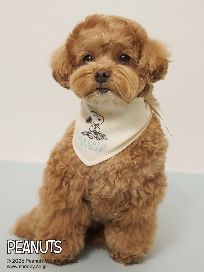  GELATO PIQUE CAT&DOG「【PEANUTS】【CAT&DOG】保冷剤入れバンダナ」|その他|