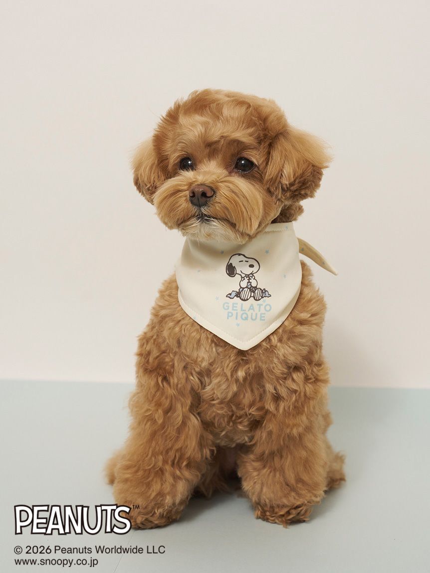  GELATO PIQUE CAT&DOG「【PEANUTS】【CAT&DOG】保冷剤入れバンダナ」|その他|