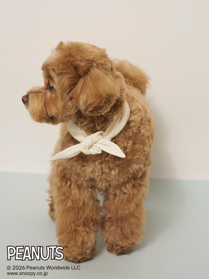  GELATO PIQUE CAT&DOG「【PEANUTS】【CAT&DOG】保冷剤入れバンダナ」|その他|