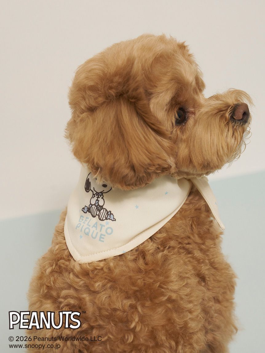  GELATO PIQUE CAT&DOG「【PEANUTS】【CAT&DOG】保冷剤入れバンダナ」|その他|
