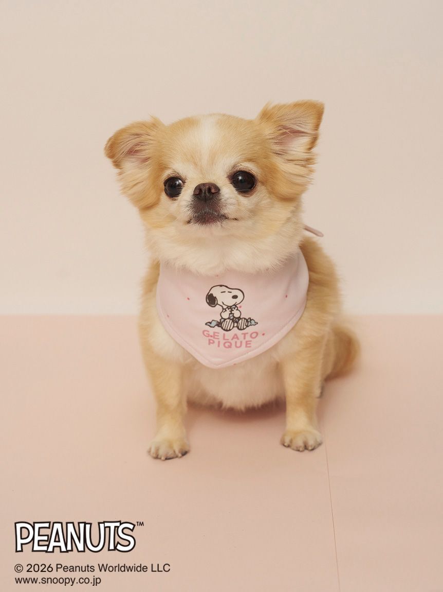  GELATO PIQUE CAT&DOG「【PEANUTS】【CAT&DOG】保冷剤入れバンダナ」|その他|