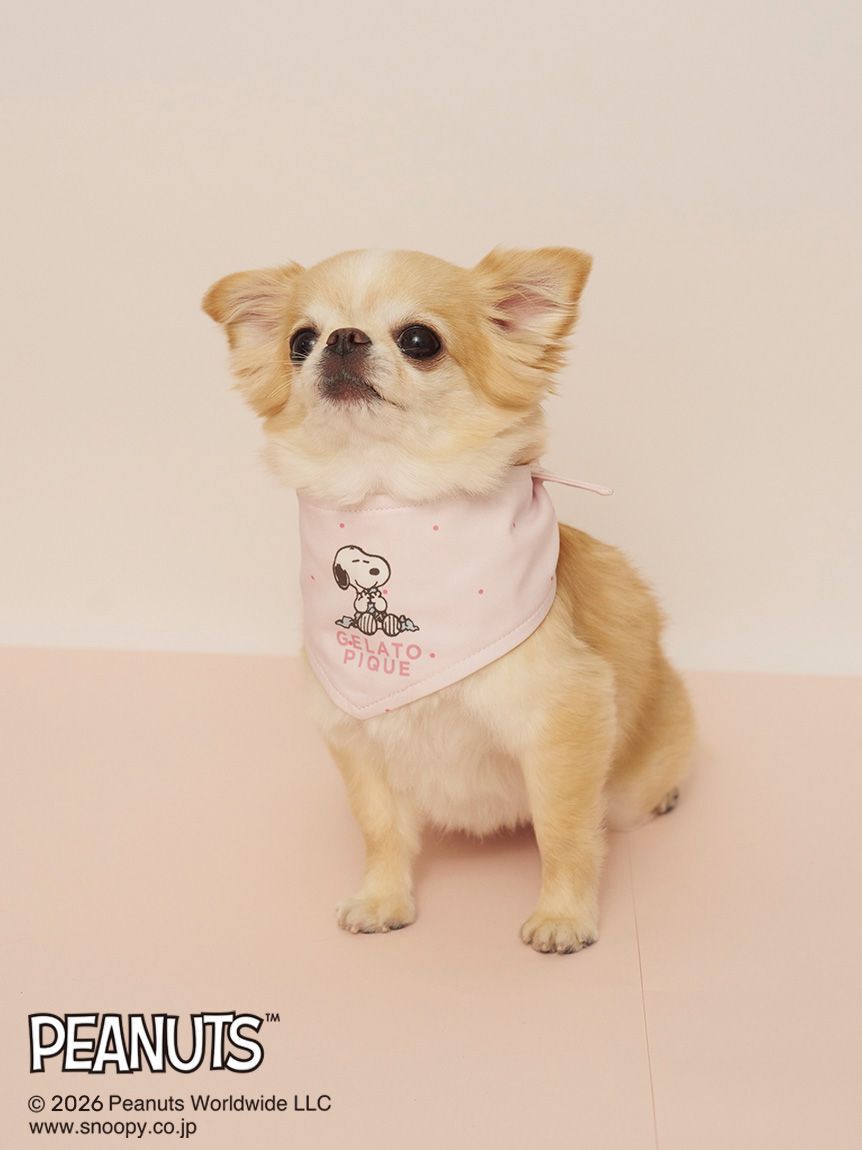  GELATO PIQUE CAT&DOG「【PEANUTS】【CAT&DOG】保冷剤入れバンダナ」|その他|