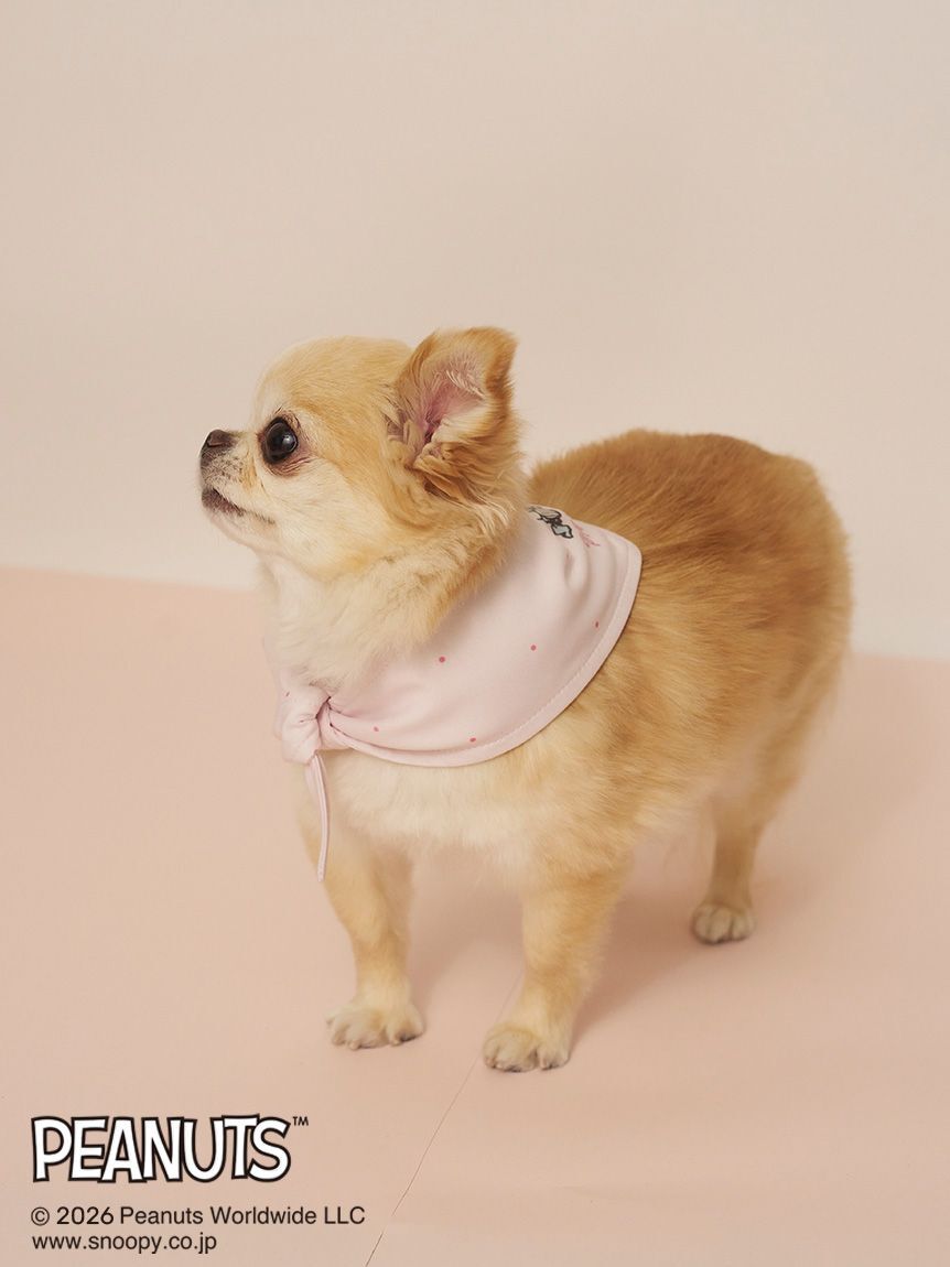 GELATO PIQUE CAT&DOG「【PEANUTS】【CAT&DOG】保冷剤入れバンダナ」|その他|