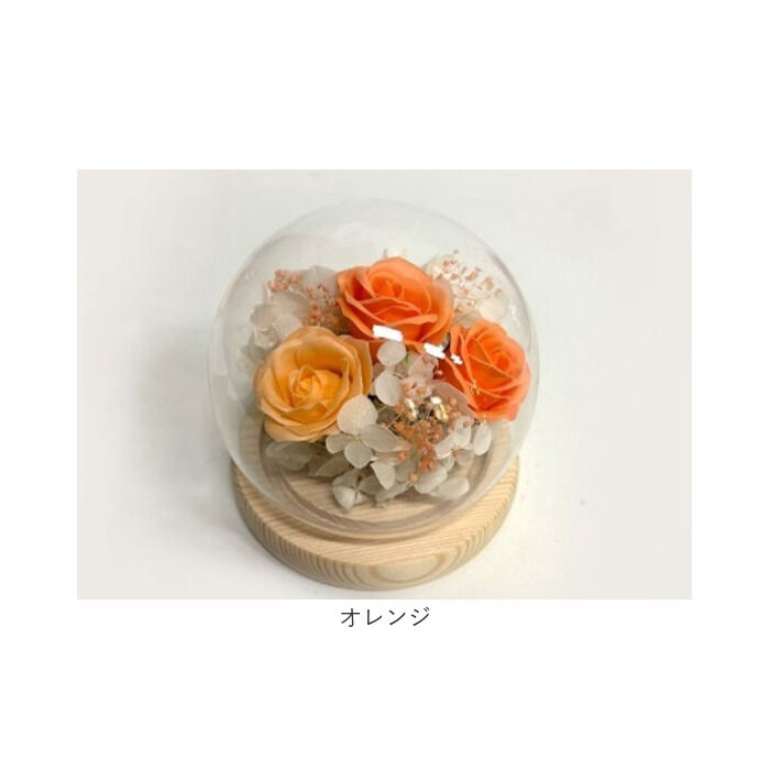 BACKYARD FAMILY「ブリザードフラワ- 通販 ガラスドーム フラワーギフト ガラス製 お花 花 フラワーアレンジメント」|その他|