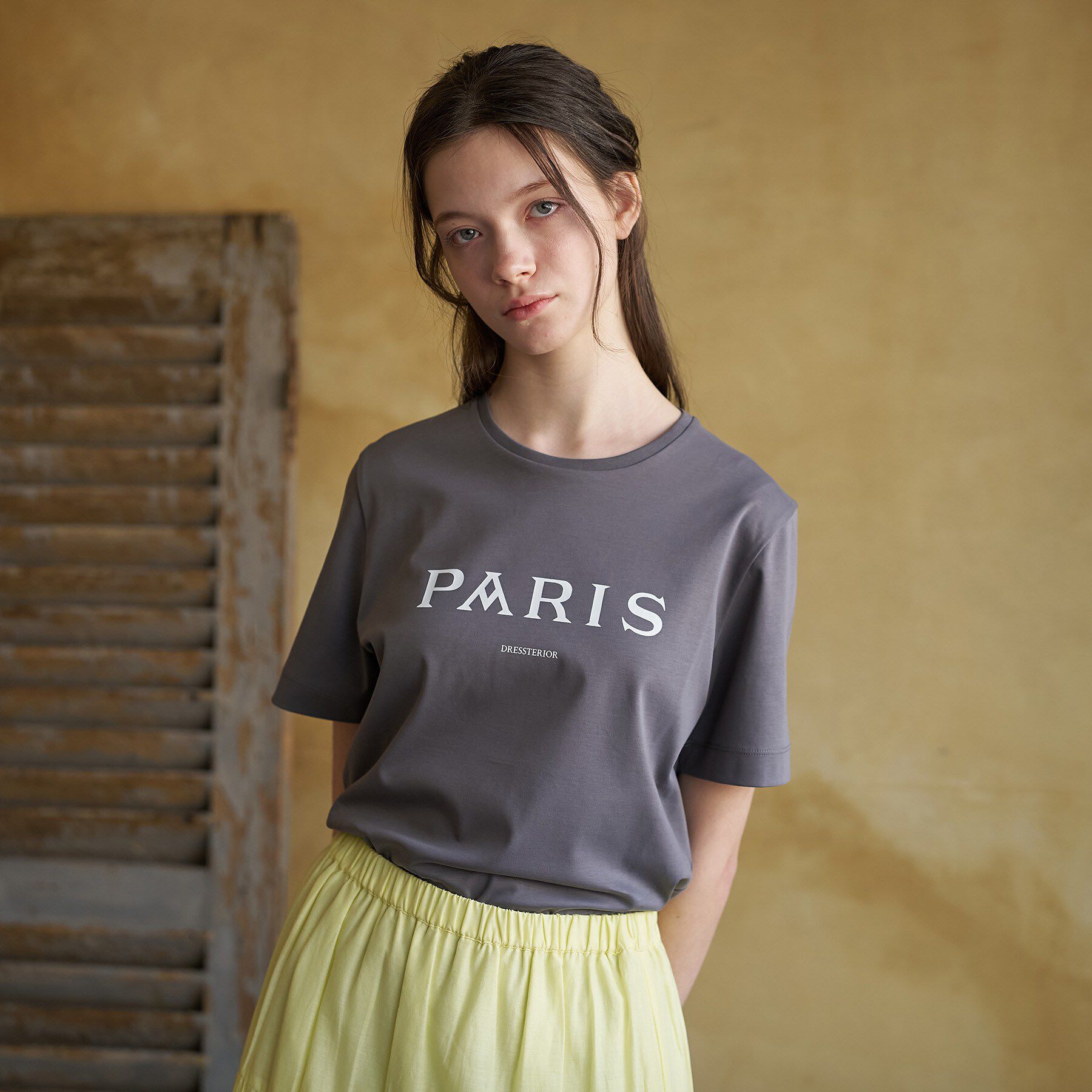 DRESSTERIOR「【接触冷感／抗菌防臭／消臭】アイスクリアコットン PARIS Tシャツ」|Tシャツ・カットソー|
