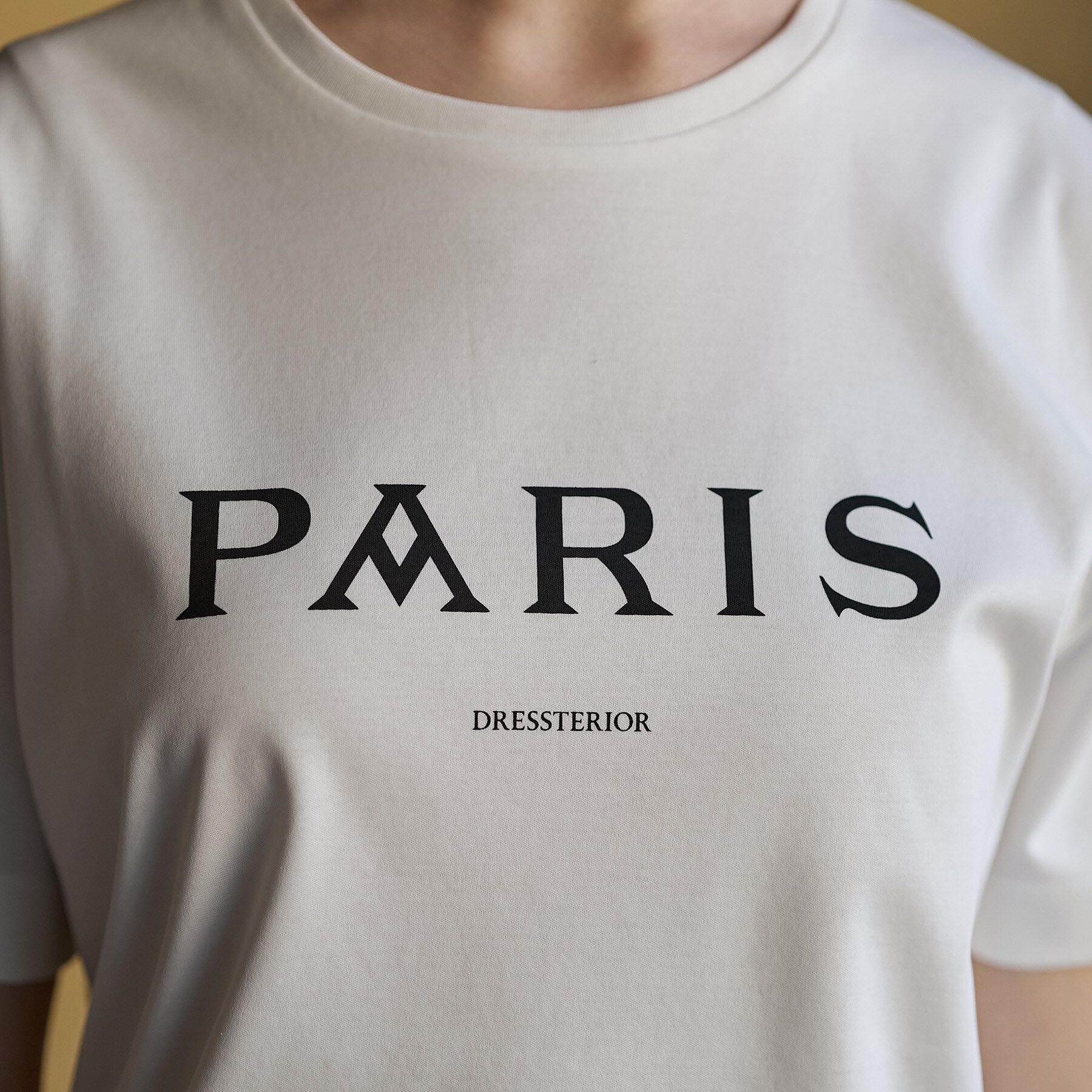 DRESSTERIOR「【接触冷感／抗菌防臭／消臭】アイスクリアコットン PARIS Tシャツ」|Tシャツ・カットソー|