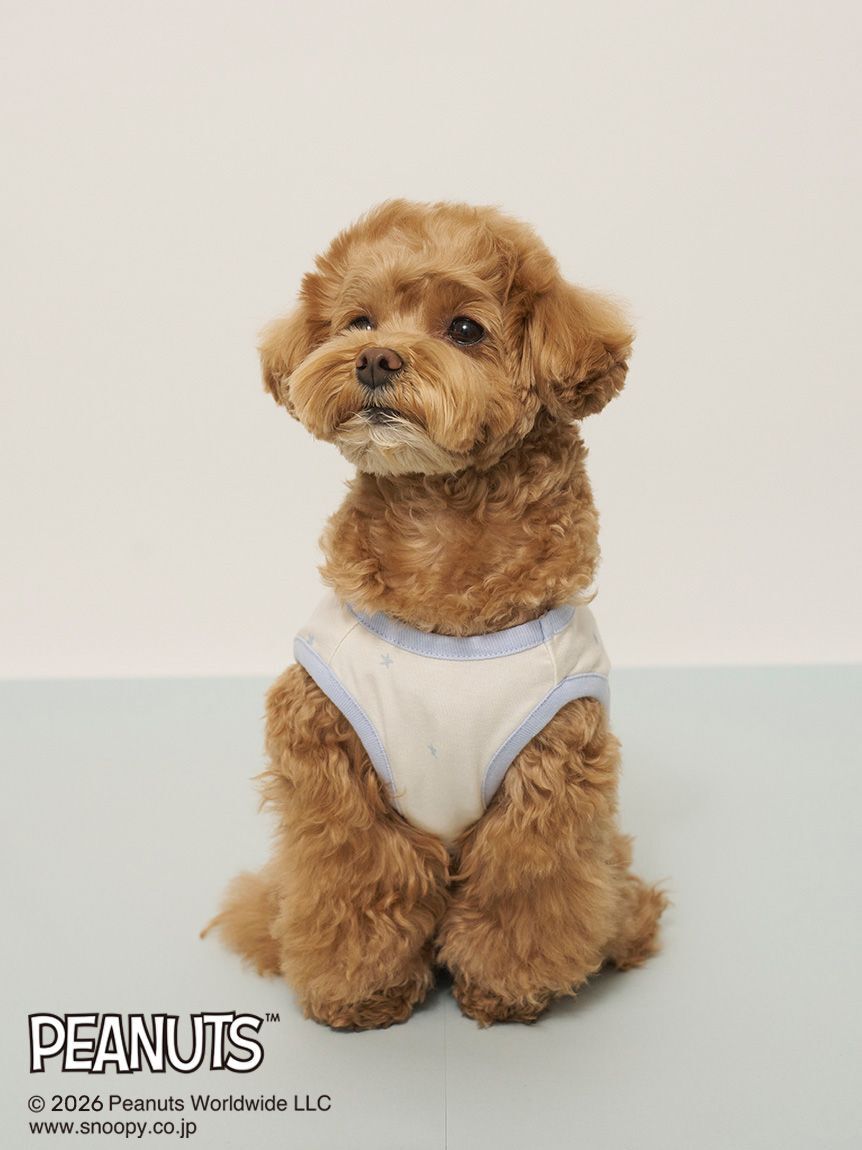  GELATO PIQUE CAT&DOG「【PEANUTS】【CAT&DOG】【接触冷感】Coolingプルオーバー」|その他|