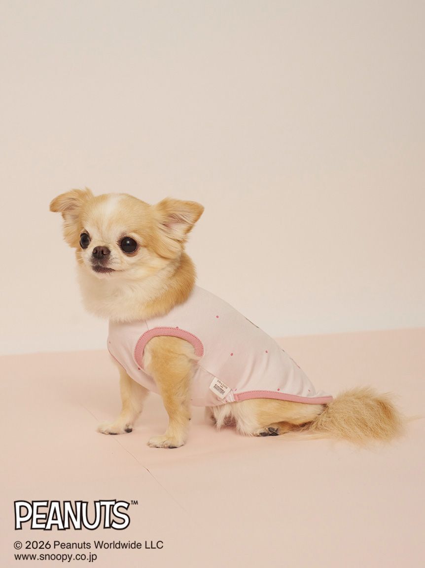  GELATO PIQUE CAT&DOG「【PEANUTS】【CAT&DOG】【接触冷感】Coolingプルオーバー」|その他|