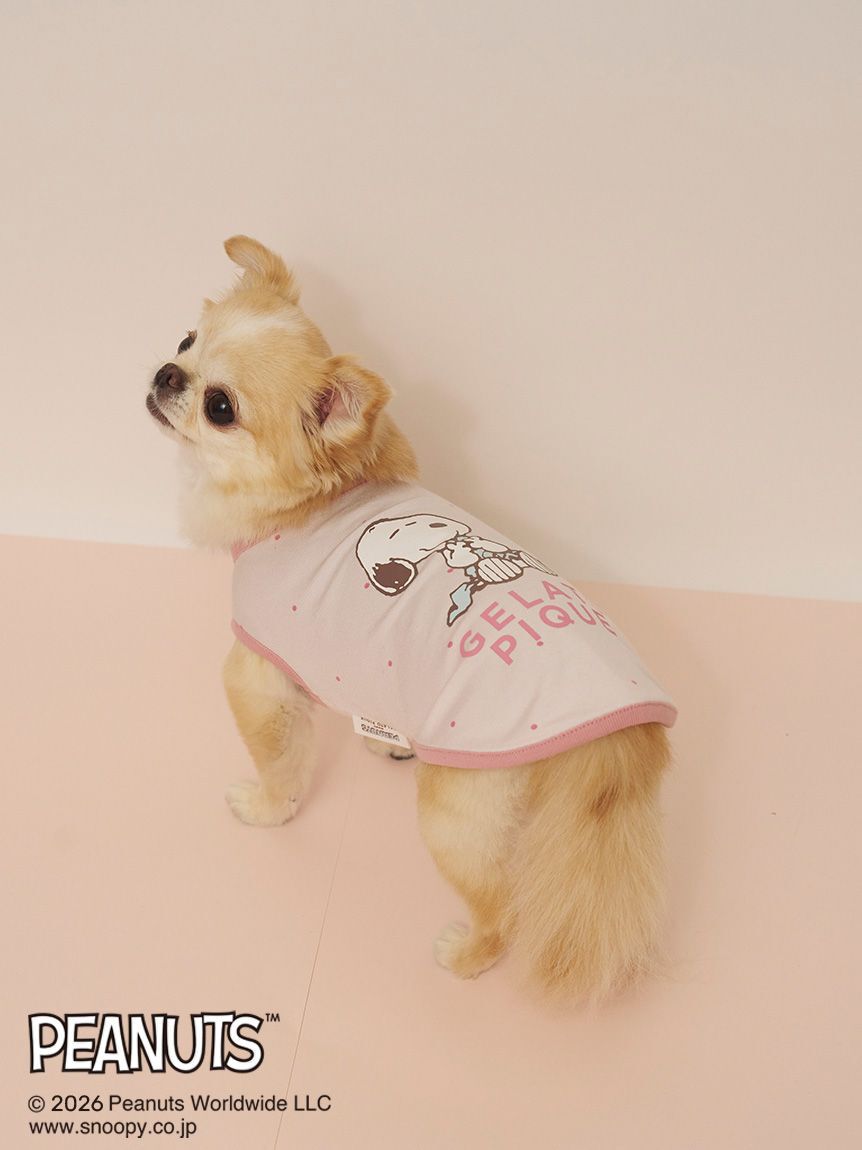  GELATO PIQUE CAT&DOG「【PEANUTS】【CAT&DOG】【接触冷感】Coolingプルオーバー」|その他|