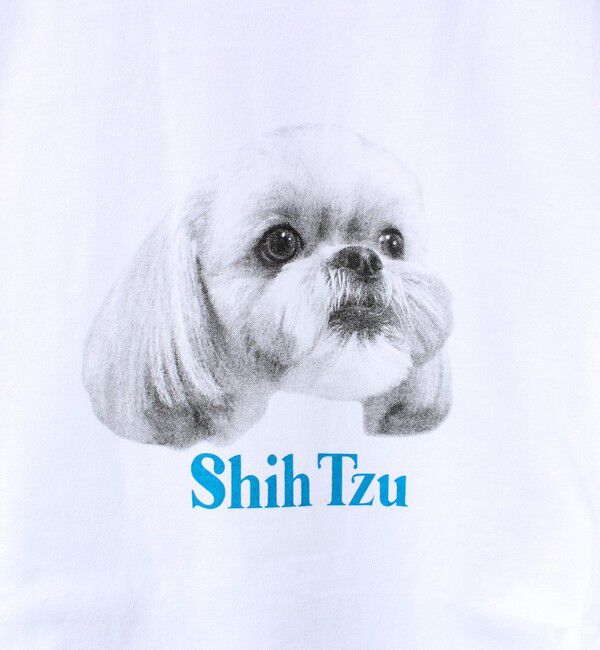 GLOSTER「【シリーズ累計人気】DOG＆CAT プリントTシャツ」|Tシャツ・カットソー|