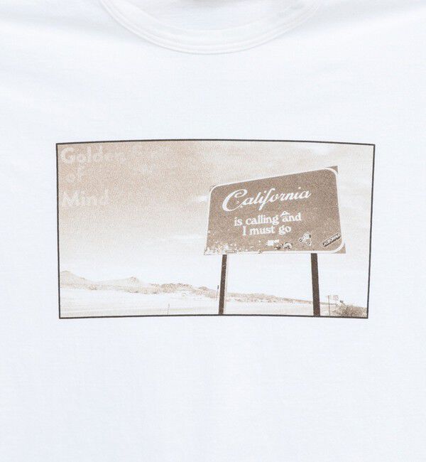 NOLLEY'S goodman「Photo T フォトグラフィック Tシャツ 26SS」|Tシャツ・カットソー|
