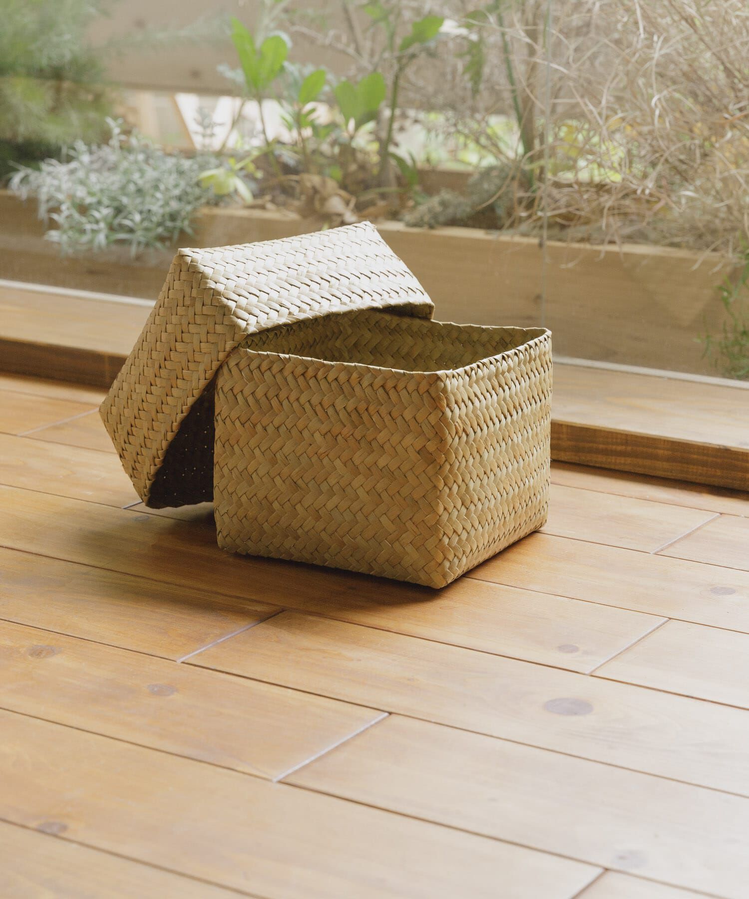 URBAN RESEARCH DOORS「『WEB限定』サイアム　カチュー水草ふた付き四角BOX S」|その他|その他1