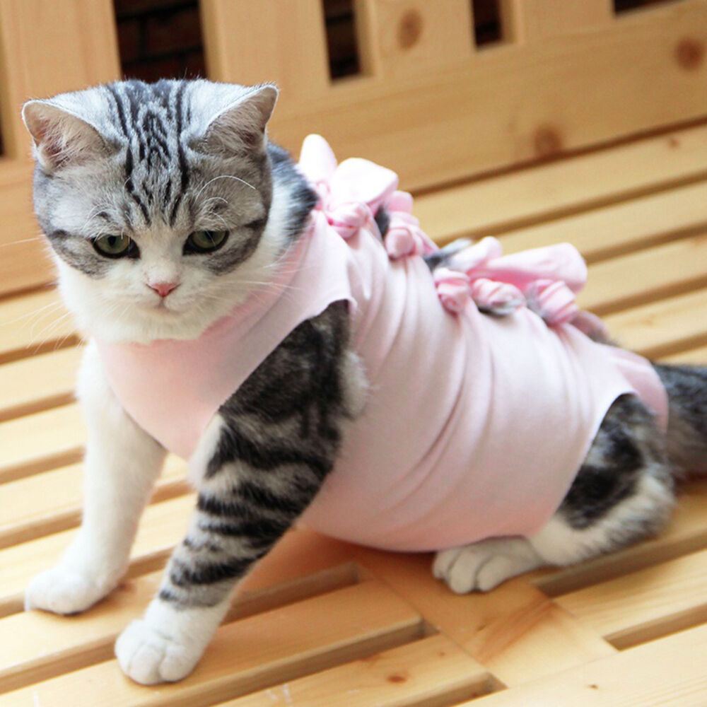 BACKYARD FAMILY「猫 術後服 通販 服 ねこ 傷舐め防止 手術後 エリザベスカラー の代用 洋服 ウェア 術後ウェア」|その他|ピンク1