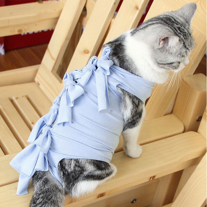 BACKYARD FAMILY「猫 術後服 通販 服 ねこ 傷舐め防止 手術後 エリザベスカラー の代用 洋服 ウェア 術後ウェア」|その他|