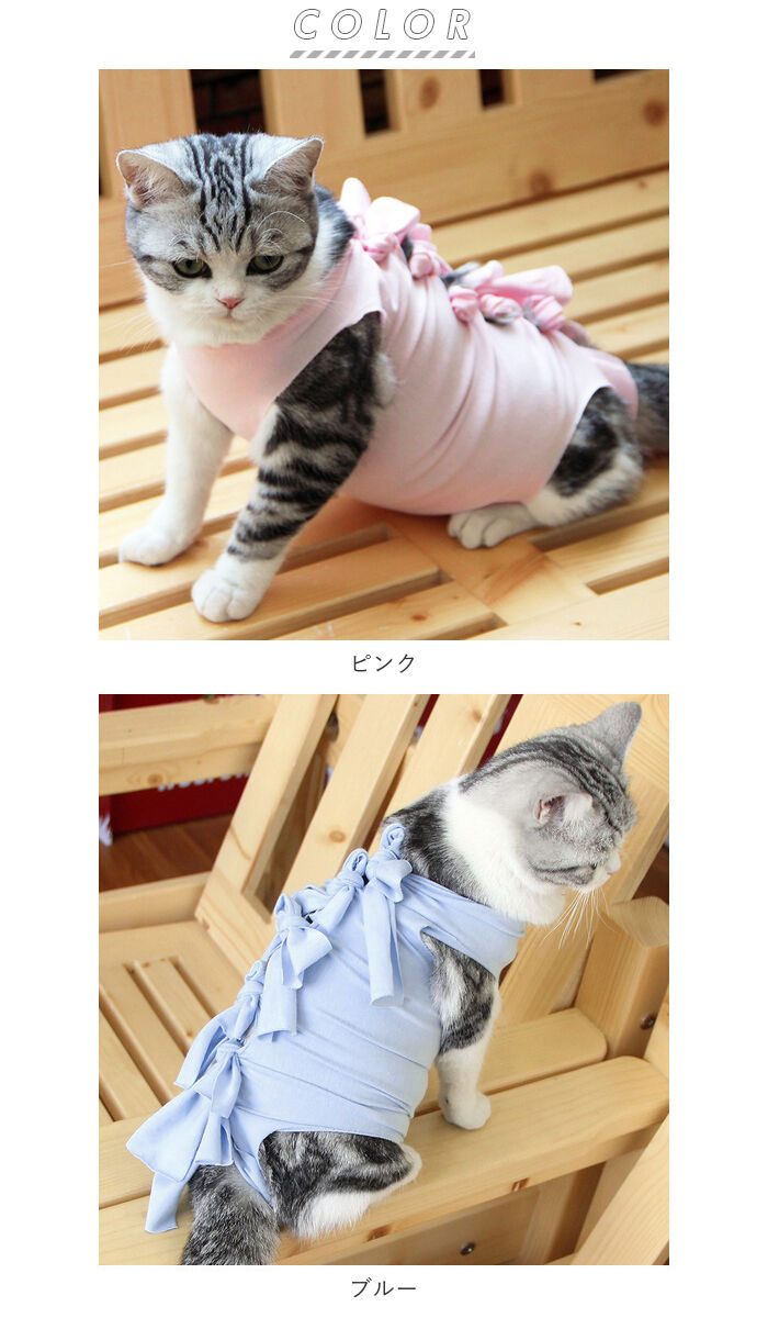 BACKYARD FAMILY「猫 術後服 通販 服 ねこ 傷舐め防止 手術後 エリザベスカラー の代用 洋服 ウェア 術後ウェア」|その他|