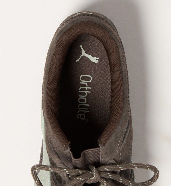 BEAUTY&YOUTH UNITED ARROWS「【別注】＜PUMA＞SPEEDCAT GO スニーカー」|スニーカー|