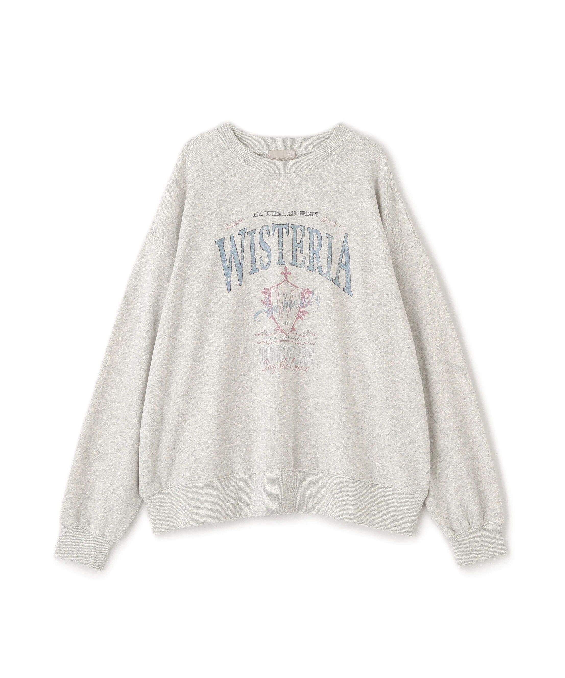  「アソートカレッジロゴビッグスウェット」|Tシャツ・カットソー|