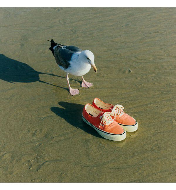 BEAMSBOY「VANS / VANS For BEAMS BOY Authentic Vintage Orange」|スニーカー|