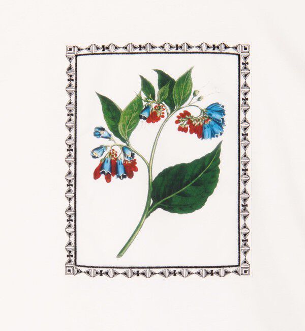 CABaN「スビンコットン FLOWER Tシャツ」|Tシャツ・カットソー|