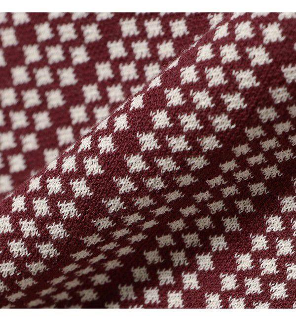 BEAMS PLUS「Half Zip Knit Polo」|ポロシャツ|