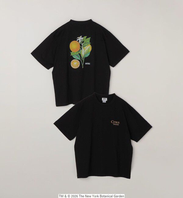 SHIPS any「【SHIPS any別注】NYBG: ボタニカル プリント リラックス Tシャツ◇」|Tシャツ・カットソー|