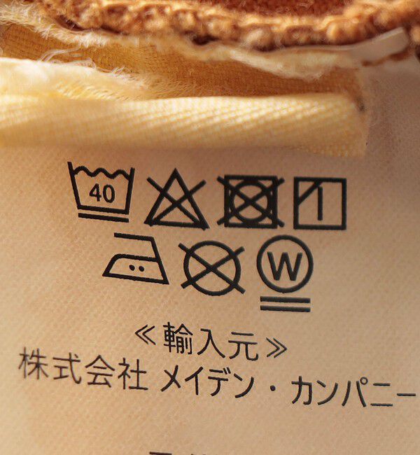 SHIPS any「Mixta:〈洗濯機可能〉MIXTIGER プリント TEE」|Tシャツ・カットソー|
