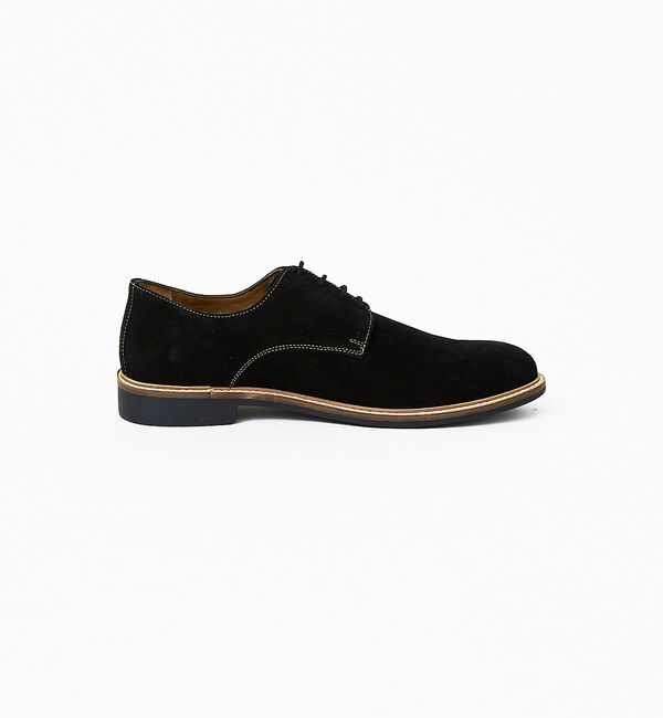 alfredoBANNISTER「【SHOO IN SHOE】スエード ダービーシューズ 一部店舗＋WEB限定」|その他|