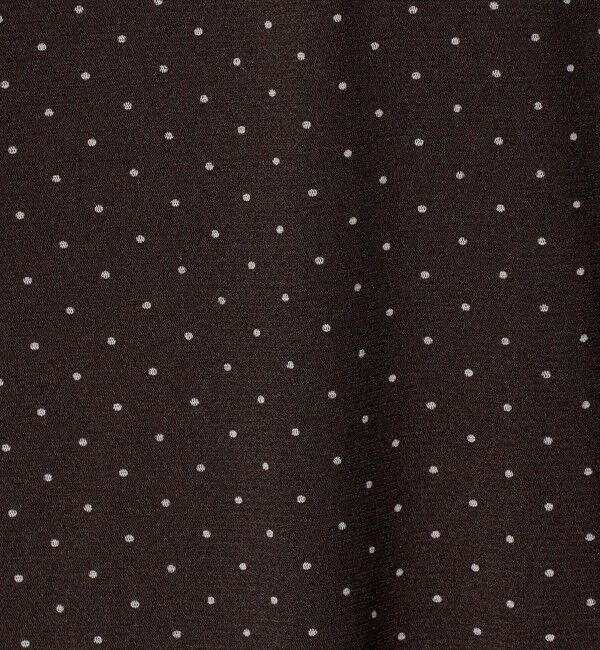BEAUTY&YOUTH UNITED ARROWS「ドット チュール ロングスリーブ カットソー」|Tシャツ・カットソー|
