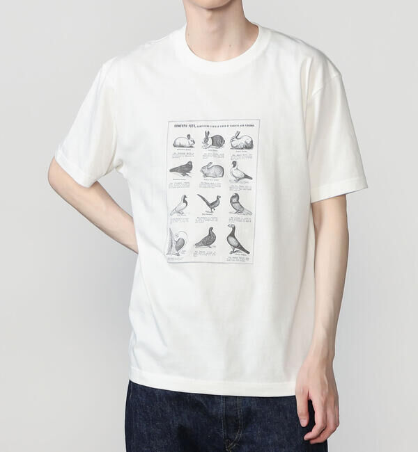  「History of Art | プリントTシャツ RABBITS & BIRDS MEN」|Tシャツ・カットソー|