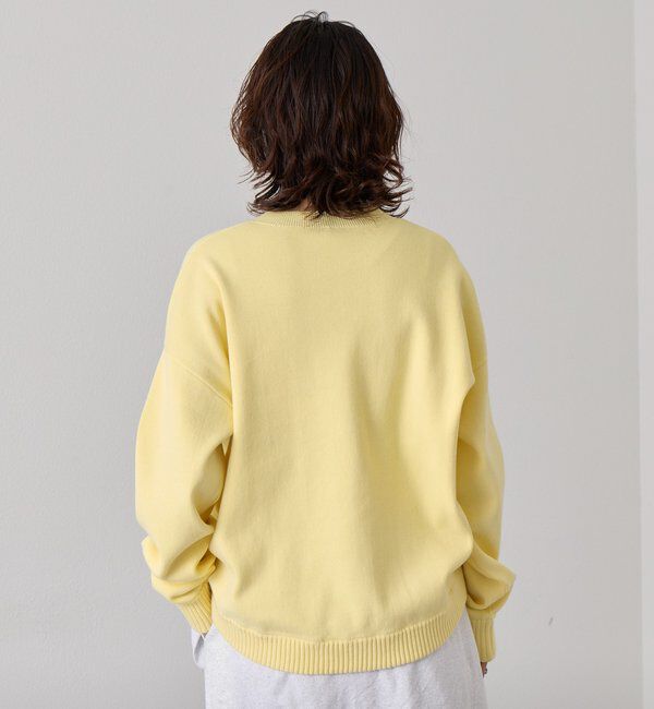  「【A・MONN】【EC・店舗限定色あり】Vネックニットプルオーバー」|ニット・セーター|