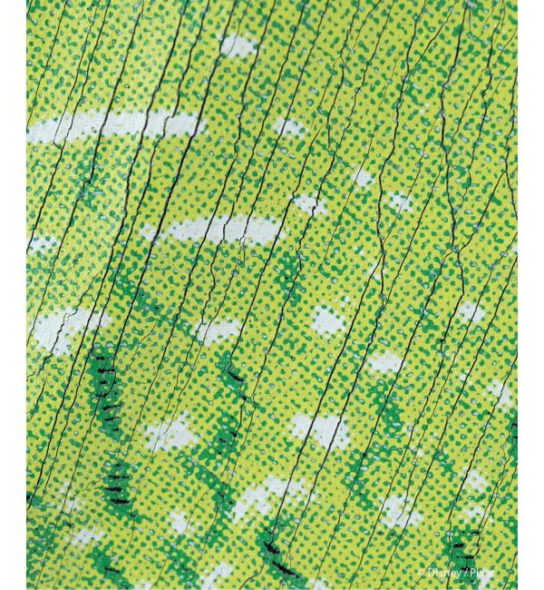 JOINT WORKS「≪追加2≫VARIEGATOR / ヴァリゲイター Rex/Tee」|Tシャツ・カットソー|