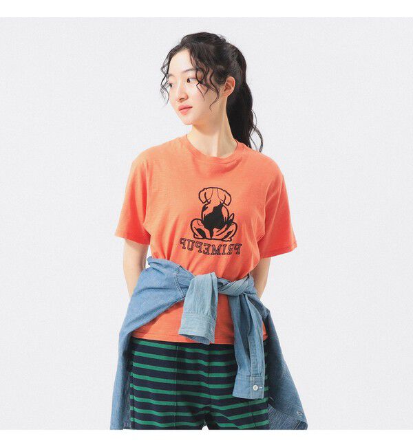 BEAMSBOY「ボーイ ドッグ Tシャツ」|Tシャツ・カットソー|