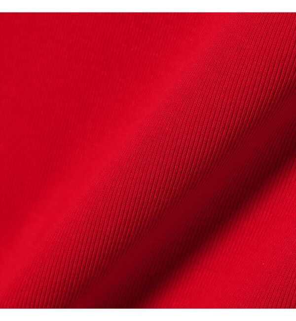 Ray BEAMS 「【別注】PICCADILLY / リブ Tシャツ」|Tシャツ・カットソー|