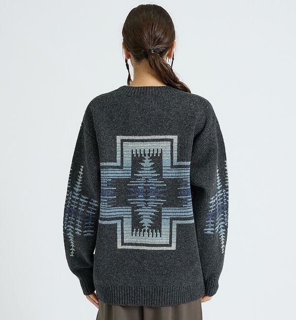 ABAHOUSE「【PENDLETON/ペンドルトン】HARDING / Shetland Woo」|ニット・セーター|