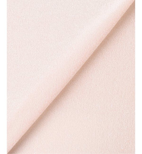  「《予約》SHEER VELOR HIGH NECK TOP：カットソー」|Tシャツ・カットソー|