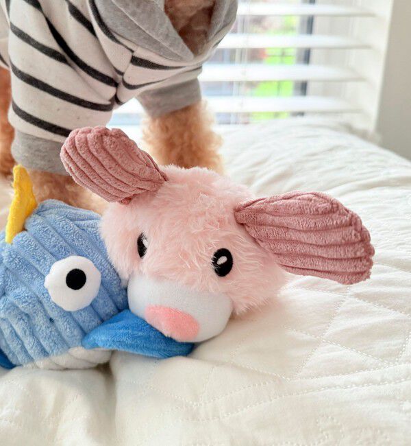 fredy emue「【FR PETS】PET TOY アニマル」|名刺入れ・カードケース|ピンク
