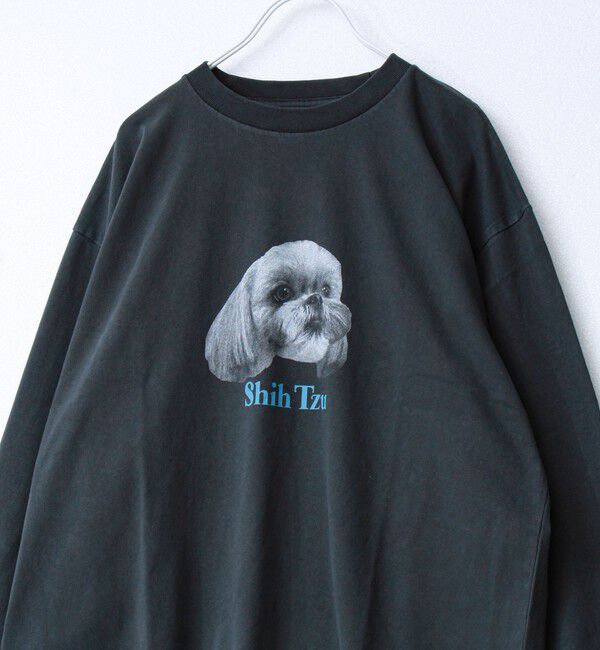 GLOSTER「【WEB限定】【人気シリーズ】【DOG&CAT】犬猫ピグメントロンT」|Tシャツ・カットソー|