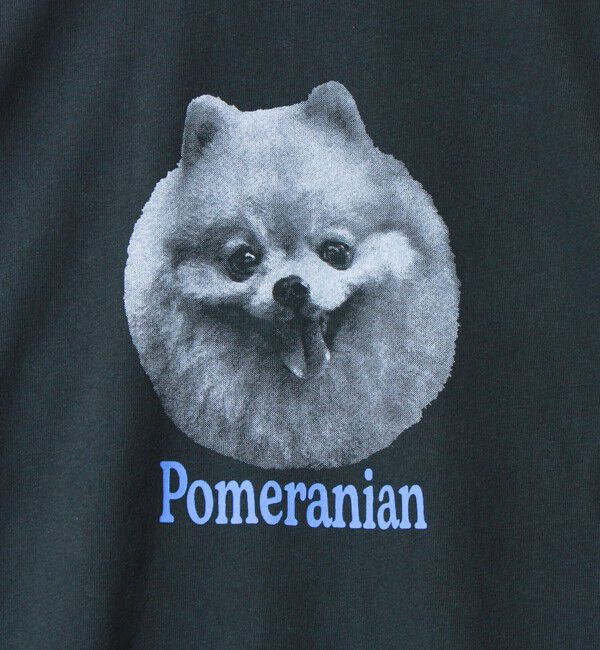 GLOSTER「【WEB限定】【人気シリーズ】【DOG&CAT】犬猫ピグメントロンT」|Tシャツ・カットソー|