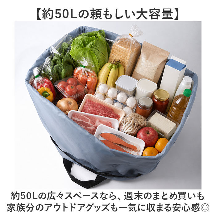 BACKYARD FAMILY「レジカゴ丸ごと保冷バッグ 通販 レジカゴ 丸ごと入る レジカゴが入るエコバッグ エコバッグ」|エコバッグ|