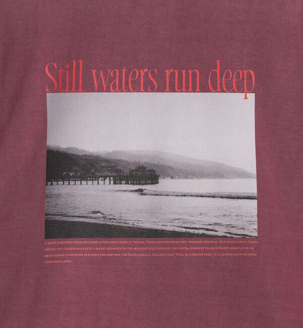 UNITED ARROWS green label relaxing「【別注】＜Various Timeless Arts＞プリント ロングスリーブTシャツ」|Tシャツ・カットソー|