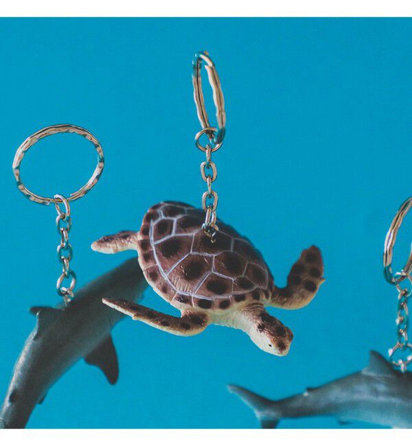 bPr BEAMS「Science and Nature / Animal Keyring」|キーケース|GREEN_TURTLE