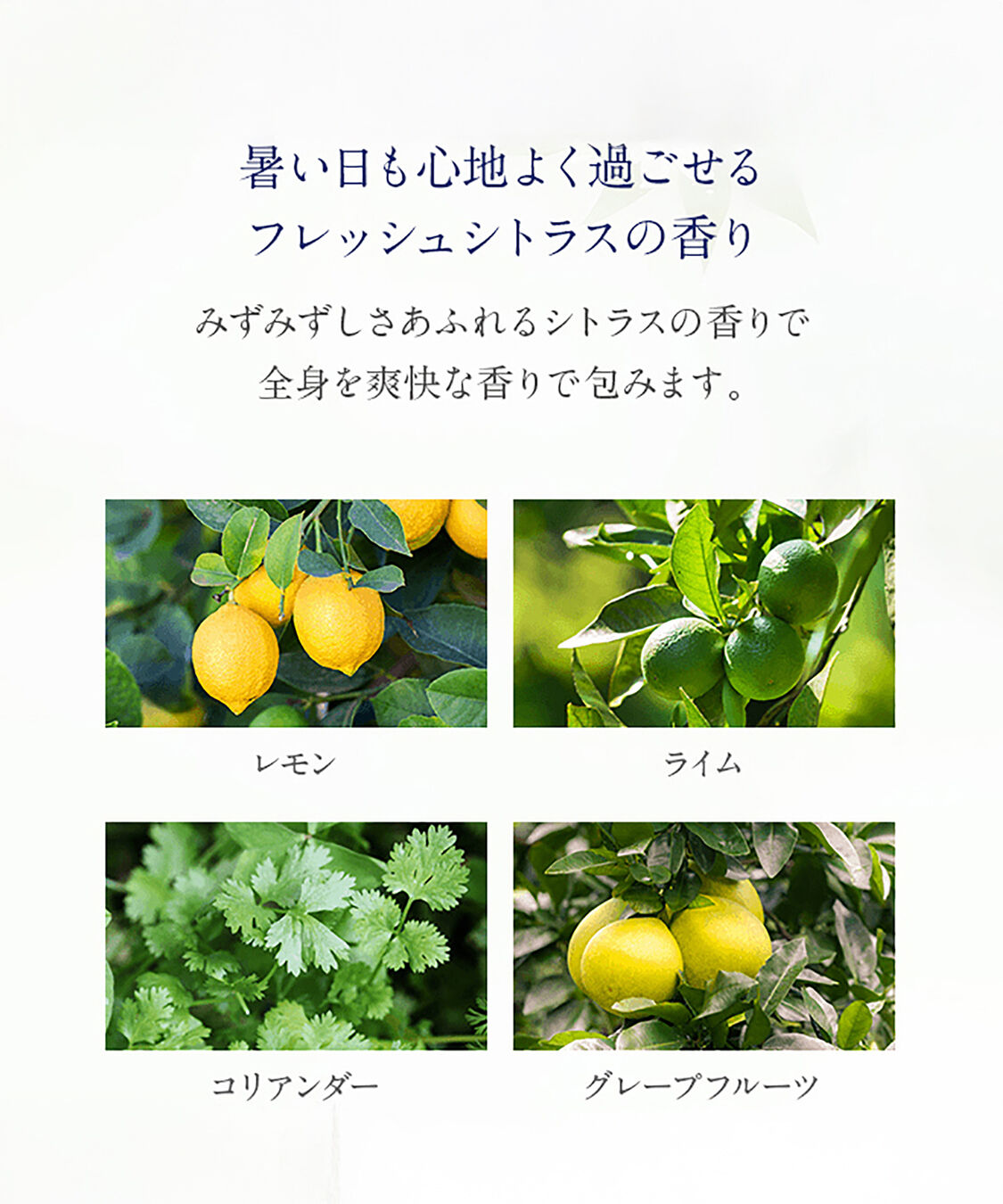 NEAL&rsquo;S YARD REMEDIES「レモン＆コリアンダー デオスプレー 100mL」|香水・フレグランス|