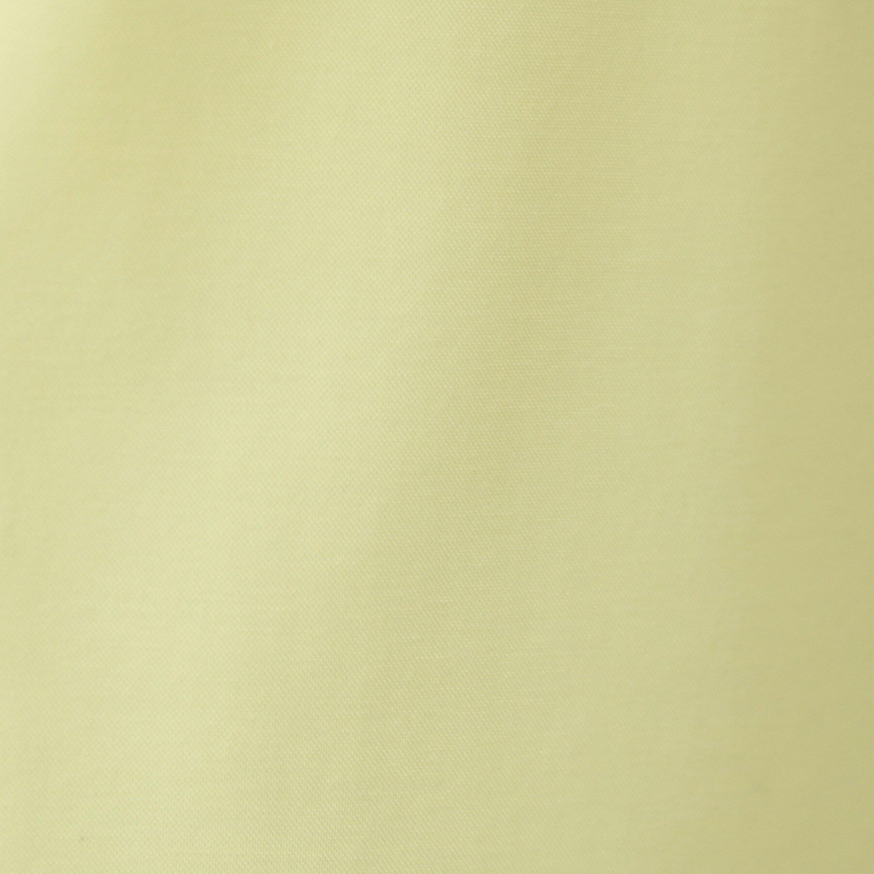 index「【接触冷感】フリルフレンチスリーブトップス《UVケア／洗濯機OK》」|Tシャツ・カットソー|