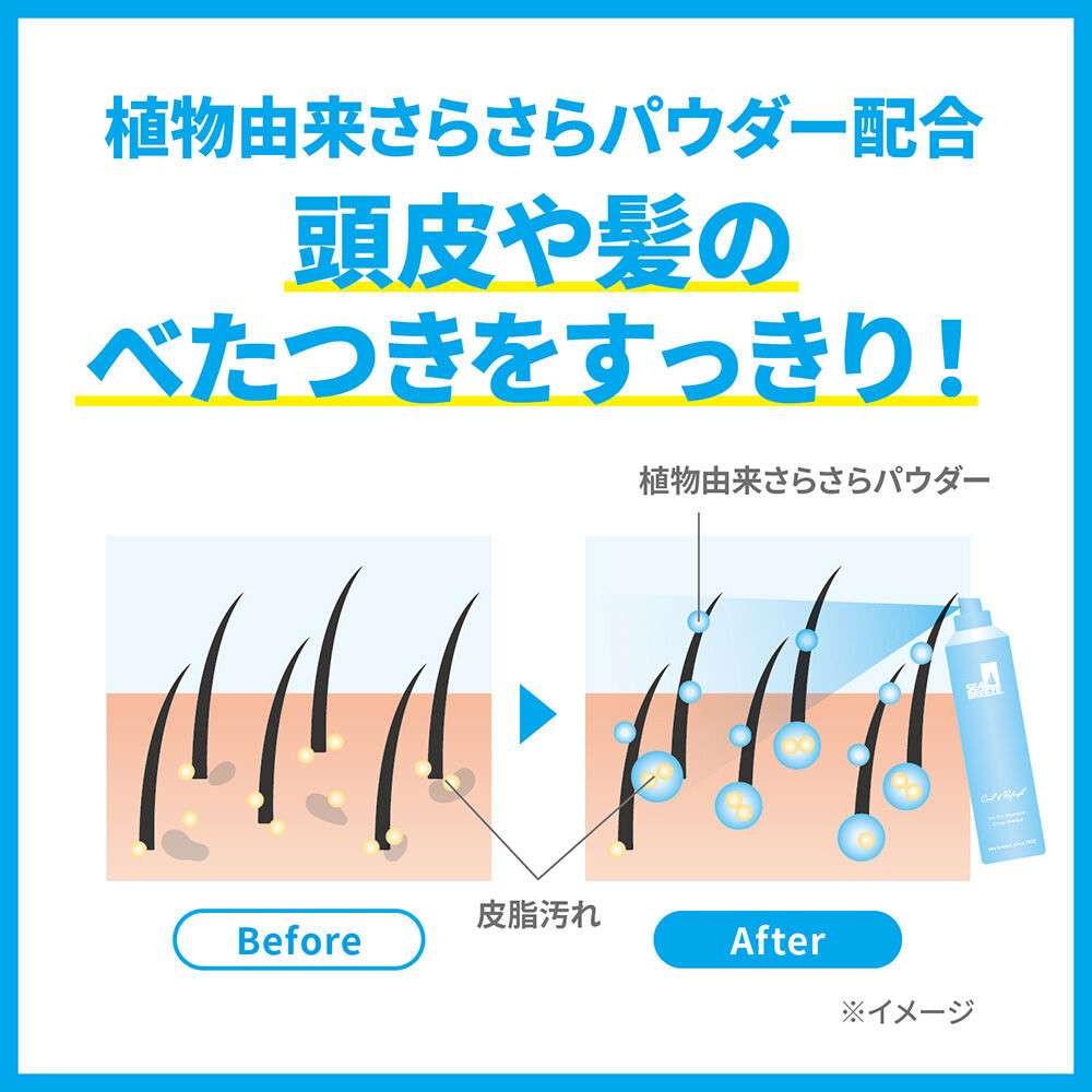  「シーブリーズ アイスドライシャンプー 本体/シトラスシャーベット (95.00g)」|ヘアスタイリング|