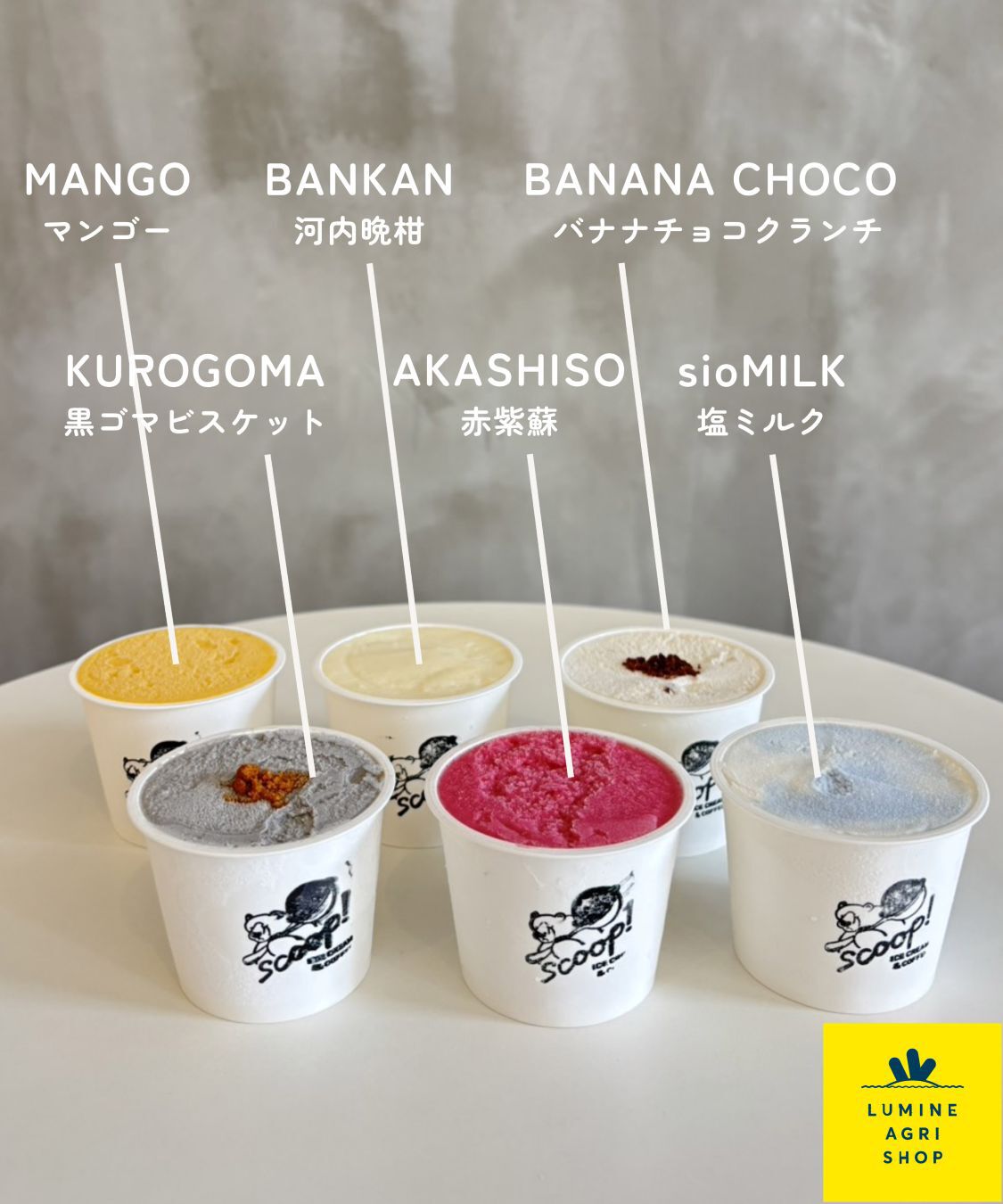 LUMINE AGRI SHOP「夏限定＆人気フレーバージェラート 6種セット」|和洋菓子・アイス|