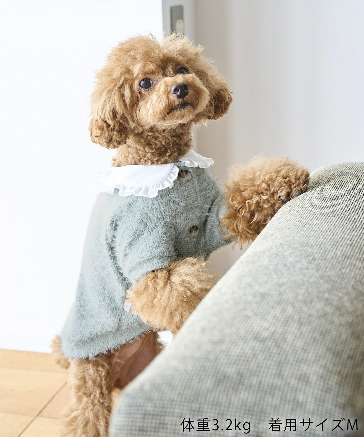 ROPE PICNIC PASSAGE「【DOG】ビックカラーカーディガン」|その他|