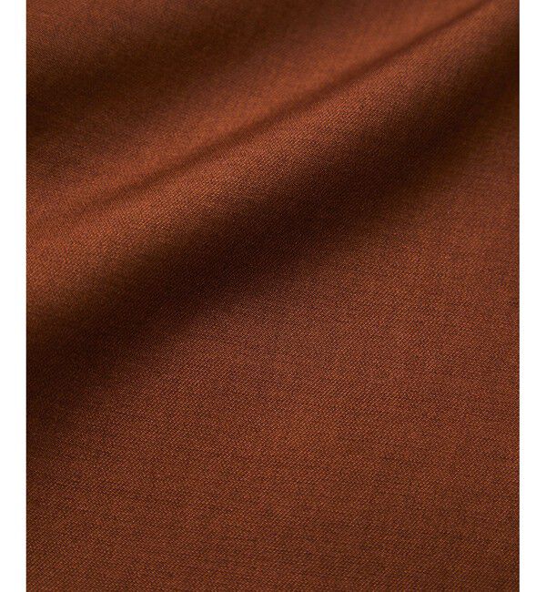 VIS「【WEB限定】【セットアップ対応】Vネックフレンチスリーブブラウス/通勤対応」|シャツ・ブラウス|