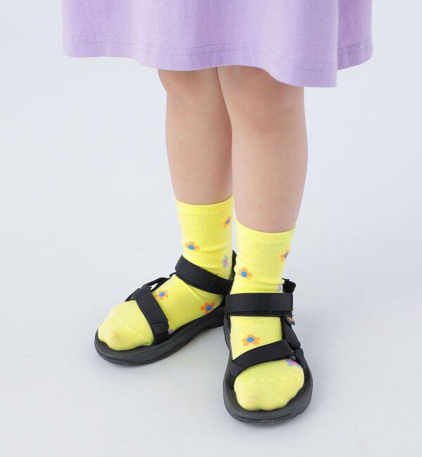 SHIPS KIDS「SHIPS KIDS:デイジー ソックス」|ソックス|