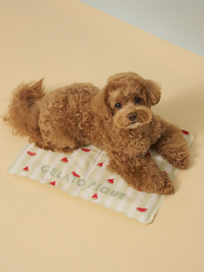  GELATO PIQUE CAT&DOG「【CAT&DOG】サマーモチーフ柄Coolingジェルマット」|その他|