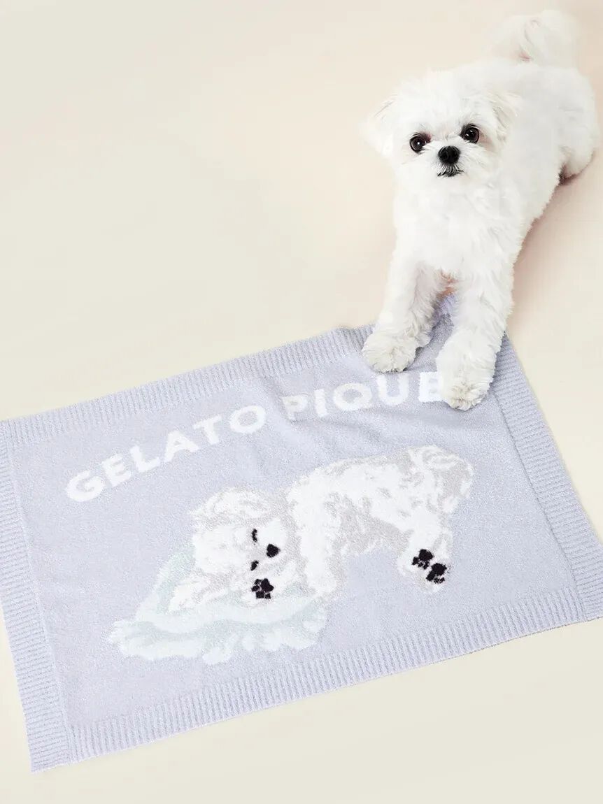  GELATO PIQUE CAT&DOG「【CAT&DOG】マルチーズ柄ブランケット」|その他|BLU